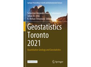 9783031198472 - Springer Proceedings in Earth and Environmental Sciences   Geostatistics Toronto 2021 Kartoniert (TB)