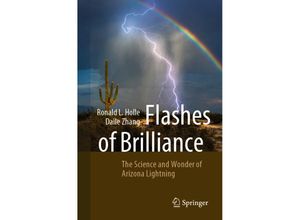 9783031198786 - Flashes of Brilliance - Ronald L Holle Daile Zhang Kartoniert (TB)