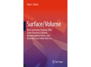 9783031237485 - Surface Volume - Alan E Rubin Kartoniert (TB)