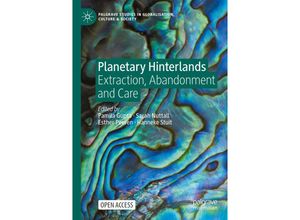 9783031242458 - Palgrave Studies in Globalization Culture and Society   Planetary Hinterlands Kartoniert (TB)