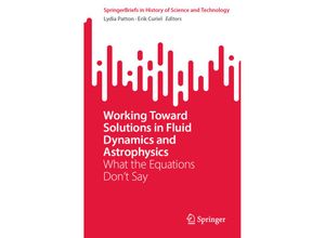 9783031256851 - SpringerBriefs in History of Science and Technology   Working Toward Solutions in Fluid Dynamics and Astrophysics Kartoniert (TB)