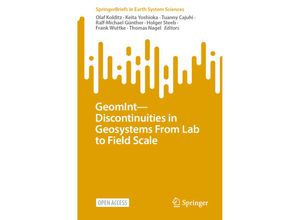 9783031264924 - SpringerBriefs in Earth System Sciences   GeomInt-Discontinuities in Geosystems From Lab to Field Scale Kartoniert (TB)