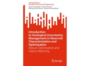 9783031280788 - SpringerBriefs in Petroleum Geoscience & Engineering   Introduction to Geological Uncertainty Management in Reservoir Characterization and Optimization - Reza Yousefzadeh Alireza Kazemi Mohammad Ahmadi Jebraeel Gholinezhad Kartoniert (TB)