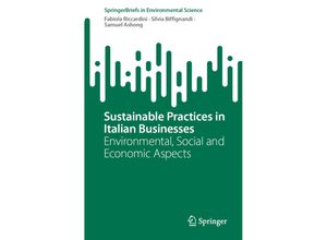 9783031281761 - SpringerBriefs in Environmental Science   Sustainable Practices in Italian Businesses - Fabiola Riccardini Silvia Biffignandi Samuel Ashong Kartoniert (TB)