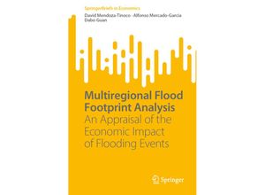 9783031297274 - SpringerBriefs in Economics   Multiregional Flood Footprint Analysis - David Mendoza-Tinoco Alfonso Mercado-Garcia Dabo Guan Kartoniert (TB)