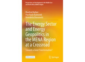 9783031307072 - Perspectives on Development in the Middle East and North Africa (MENA) Region   The Energy Sector and Energy Geopolitics in the MENA Region at a Crossroad - Manfred Hafner Pier Paolo Raimondi Benedetta Bonometti Kartoniert (TB)