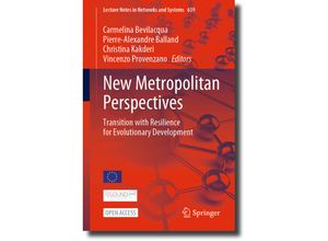 9783031342103 - New Metropolitan Perspectives Kartoniert (TB)