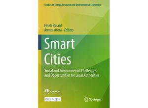 9783031356667 - Studies in Energy Resource and Environmental Economics   Smart Cities Kartoniert (TB)