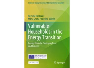 9783031356865 - Studies in Energy Resource and Environmental Economics   Vulnerable Households in the Energy Transition Kartoniert (TB)