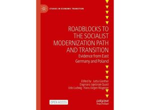 9783031370526 - Studies in Economic Transition   Roadblocks to the Socialist Modernization Path and Transition Kartoniert (TB)