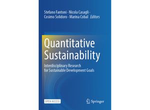 9783031393136 - Quantitative Sustainability Kartoniert (TB)