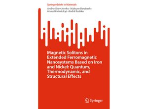 9783031404290 - SpringerBriefs in Materials   Magnetic Solitons in Extended Ferromagnetic Nanosystems Based on Iron and Nickel Quantum Thermodynamic and Structural Effects - Andriy Shevchenko Maksym Barabash Anatolii Minitskyi Andrii Kushko Kartoniert (TB)