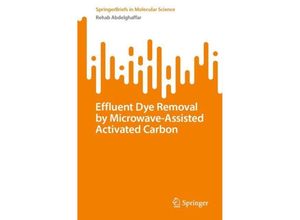 9783031411441 - SpringerBriefs in Molecular Science   Effluent Dye Removal by Microwave-Assisted Activated Carbon - Rehab Abdelghaffar Kartoniert (TB)