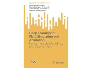 9783031423321 - SpringerBriefs in Mathematics   Deep Learning for Fluid Simulation and Animation - Gilson Antonio Giraldi Liliane Rodrigues de Almeida Antonio Lopes Apolinário Jr Leandro Tavares Da Silva Kartoniert (TB)