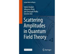 9783031469862 - Scattering Amplitudes in Quantum Field Theory - Simon Badger Johannes Henn Jan Christoph Plefka Simone Zoia Kartoniert (TB)