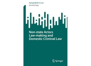 9783031478697 - SpringerBriefs in Law   Non-state Actors Law-making and Domestic Criminal Law - Dominik Zajac Kartoniert (TB)