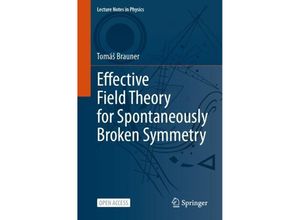 9783031483776 - Effective Field Theory for Spontaneously Broken Symmetry - Tomás Brauner Kartoniert (TB)