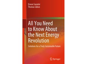 9783031513312 - All You Need to Know About the Next Energy Revolution - Erwan Saouter Thomas Gibon Kartoniert (TB)