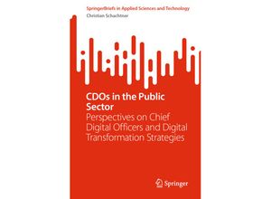 9783031546105 - CDOs in the Public Sector - Christian Schachtner Kartoniert (TB)