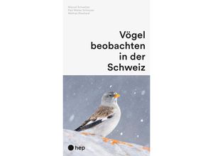 9783035526288 - Vögel beobachten in der Schweiz - Manuel Schweizer Paul Walser Schwyzer Mathias Ritschard Kartoniert (TB)