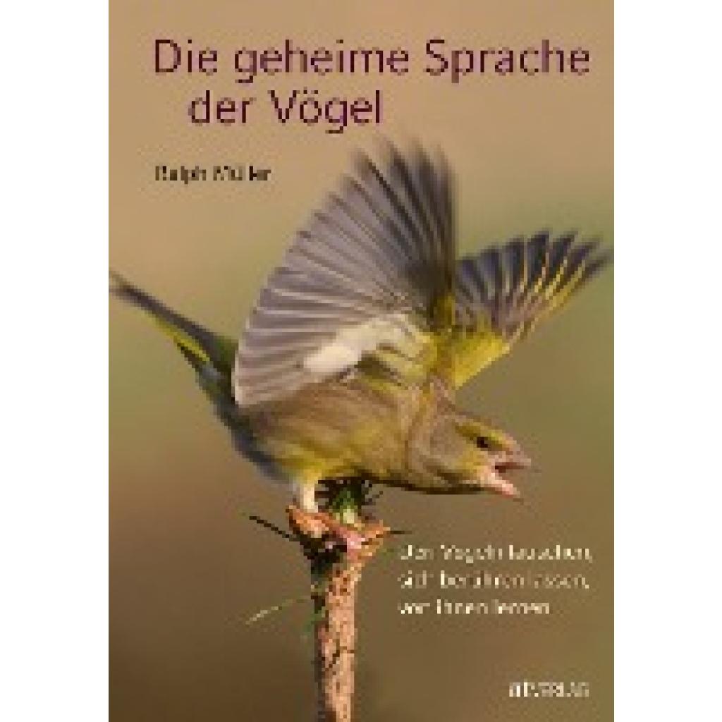 9783038004882 - Die geheime Sprache der Vögel - Ralph Müller Gebunden 9783038004882 - Die geheime Sprache der Vögel - Ralph Müller Gebunden