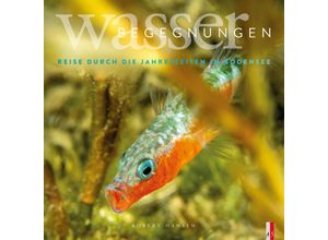 9783039130221 - Wasser Begegnungen - Robert Hansen Gebunden