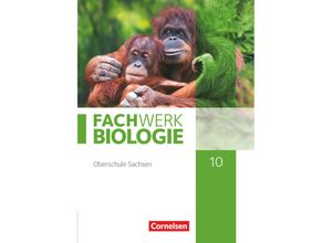 9783060159109 - Fachwerk Biologie   Fachwerk Biologie - Sachsen - 10 Schuljahr Gebunden