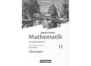 9783060406715 - Bigalke Köhler Mathematik Brandenburg Ausgabe 2019 Bigalke Köhler Mathematik - Brandenburg - Ausgabe 2019 - 12 Schuljahr Grundkurs - Lösungen zum Schülerbuch - Horst Kuschnerow Gabriele Ledworuski Kartoniert (TB)