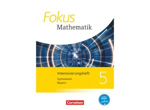 9783060415090 - Brigitte Distel - GEBRAUCHT Fokus Mathematik - Bayern - Ausgabe 2017   5 Jahrgangsstufe - Intensivierungsheft mit Lösungen - Preis vom 15112023 060513 h