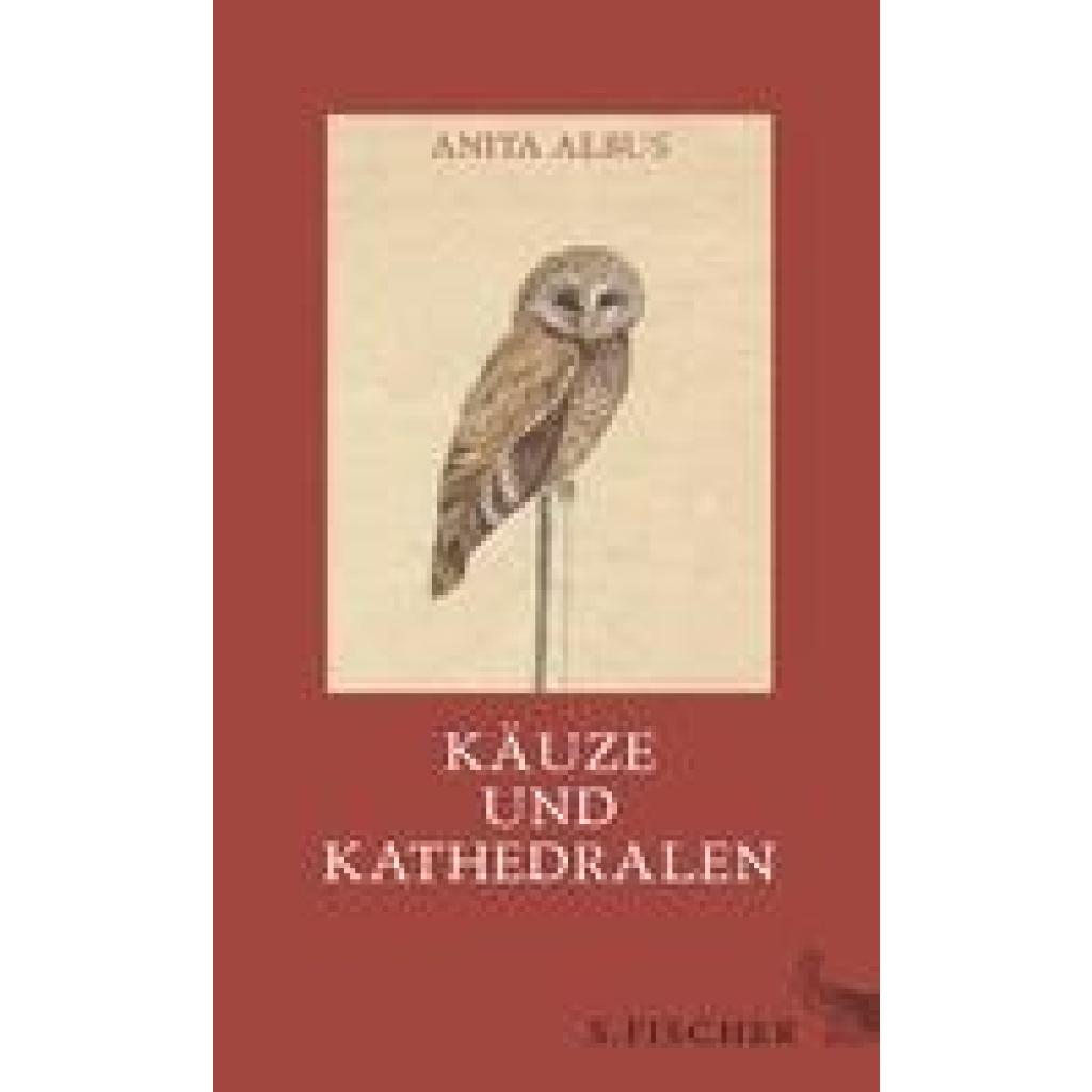 9783100006349 - Albus Anita Käuze und Kathedralen