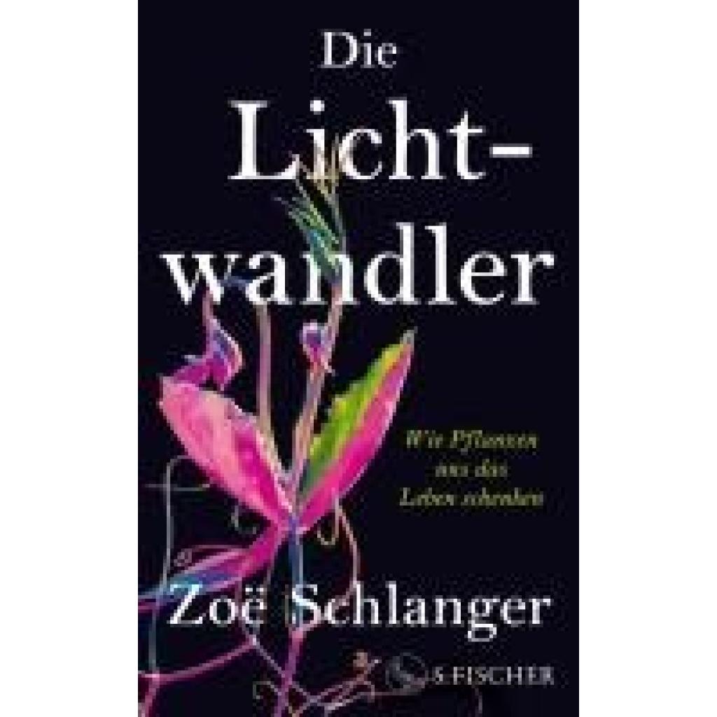 9783103976601 - Schlanger Zoë Die Lichtwandler