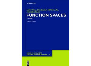 9783110250411 - Function Spaces - Lubo¿ Pick Svatopluk Fucík Old¿ich John Alois Kufner Gebunden