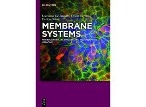 9783110267983 - Membrane Systems - Loredana De Bartolo Efrem Curcio Enrico Drioli Gebunden