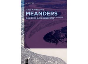 9783110531473 - Meanders - Anna Karnauhova Gebunden