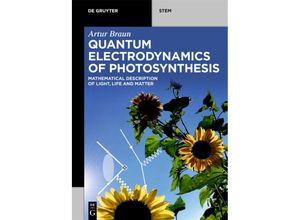 9783110626926 - STEM   Quantum Electrodynamics of Photosynthesis - Artur Braun Kartoniert (TB)