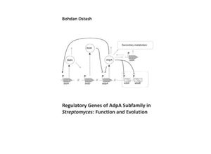 9783110627763 - Regulatory Genes of AdpA Subfamily in Streptomyces Function and Evolution - Bohdan Ostash Kartoniert (TB)