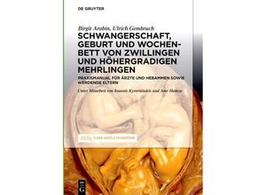 9783110666359 - Schwangerschaft Geburt und Wochenbett von Zwillingen und höhergradigen Mehrlingen - Birgit Arabin Ulrich Gembruch Gebunden