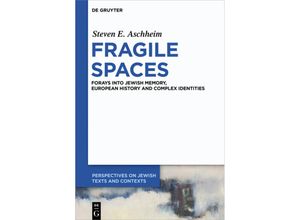 9783110709766 - Fragile Spaces - Steven E Aschheim Kartoniert (TB)