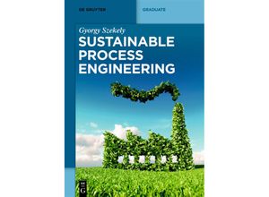 9783110717129 - Textbook   Sustainable Process Engineering - Gyorgy Szekely Kartoniert (TB)