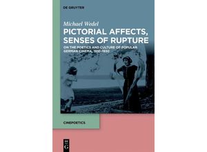 9783110763751 - Pictorial Affects Senses of Rupture - Michael Wedel Kartoniert (TB)