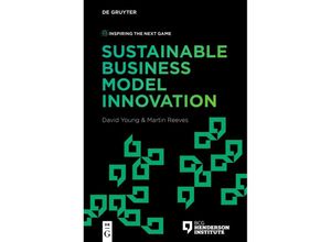 9783111294896 - Inspiring the Next Game   Sustainable Business Model Innovation Kartoniert (TB)