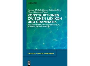 9783111357867 - Konstruktionen zwischen Lexikon und Grammatik Kartoniert (TB)