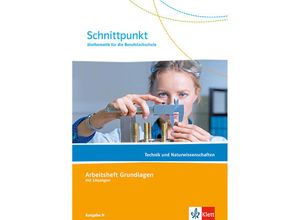 9783127427622 - Schnittpunkt Ausgabe N Mathematik für die Berufsfachschule - Technik und Naturwissenschaften Geheftet