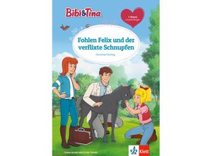 9783129496626 - Dorothea Flechsig - GEBRAUCHT Bibi und Tina Fohlen Felix und der verflixte Schnupfen – für Leseanfänger in der 1 Klasse ab 6 Jahren Leseanfänger 1 Klasse ab 6 Jahren (Lesen lernen mit Bibi und Tina) - Preis vom 04112023 060105 h