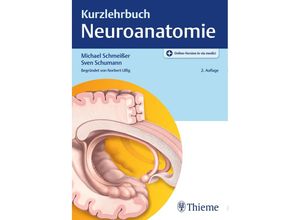 9783131429520 - Michael Schmeißer - GEBRAUCHT Kurzlehrbuch Neuroanatomie - Preis vom 26102023 050019 h