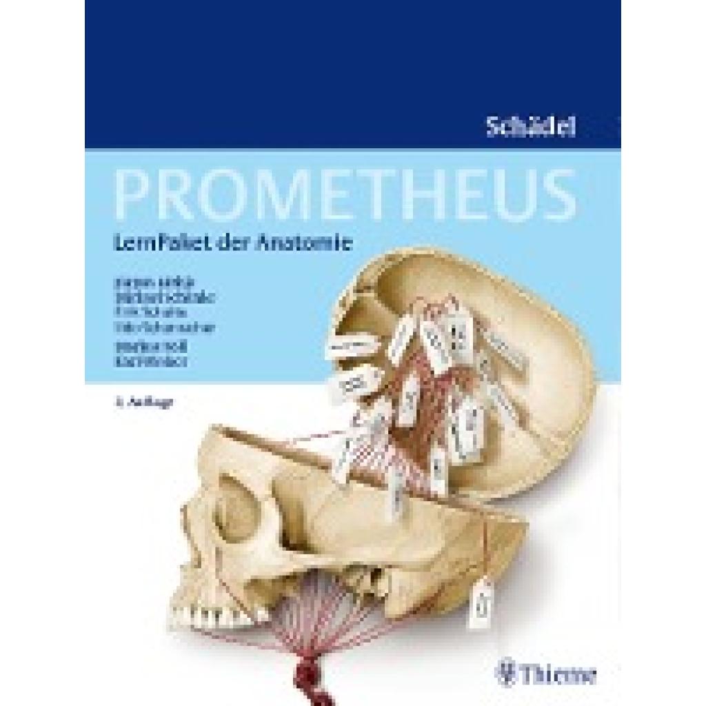 9783132403000 - Lüthje Jürgen PROMETHEUS LernPaket Anatomie Schädel