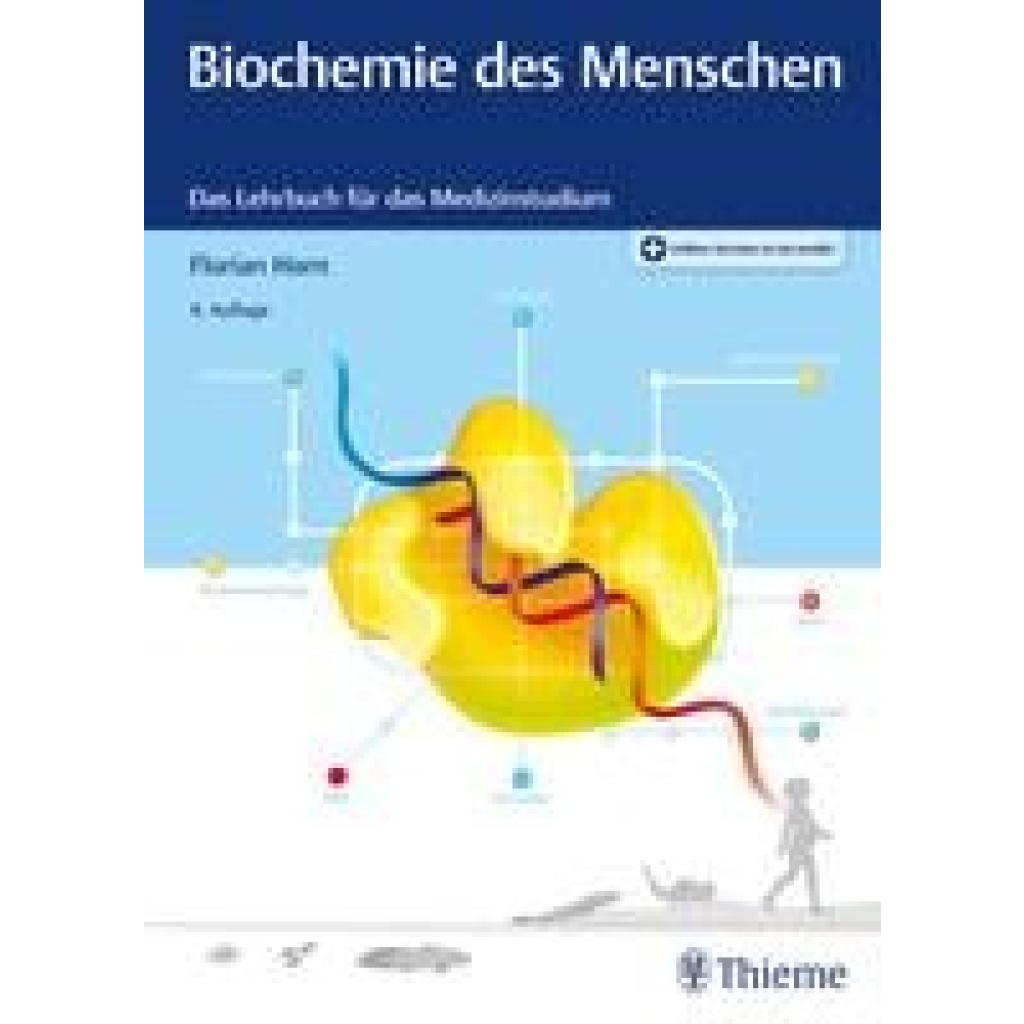 9783132433427 - Horn Florian Biochemie des Menschen