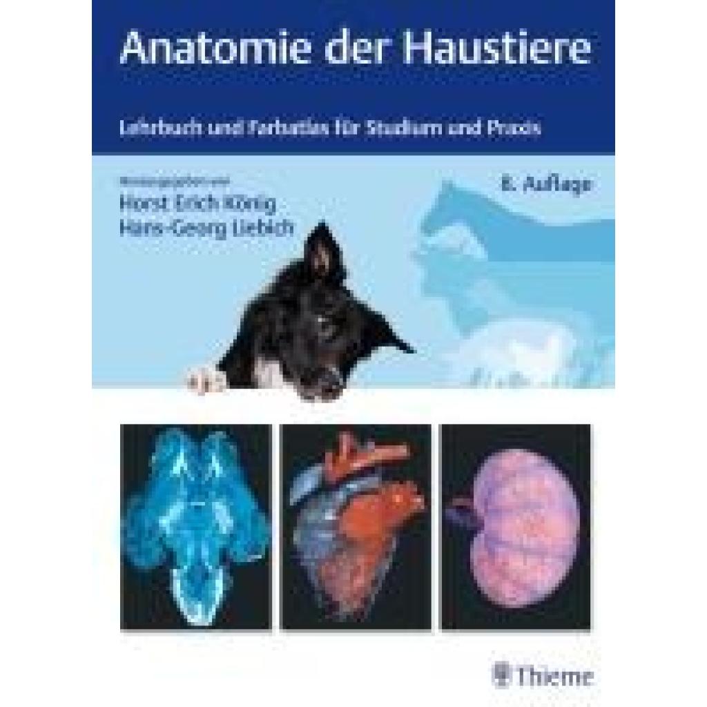 9783132455696 - Anatomie der Haustiere