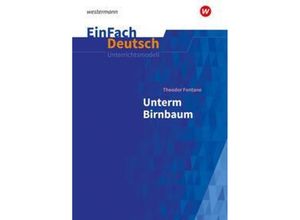 9783141080001 - EinFach Deutsch Unterrichtsmodelle m 1 Buch m 1 Online-Zugang - Timotheus Schwake Kartoniert (TB)