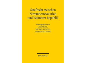 9783161595110 - Strafrecht zwischen Novemberrevolution und Weimarer Republik Leinen